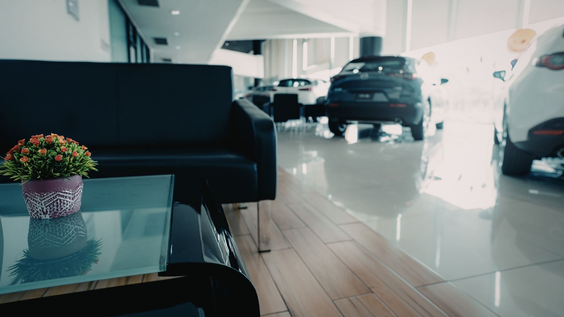 clean seating area in the showroom